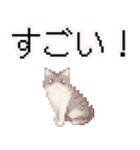 猫のピクセルアート(ドット絵)のスタンプ4（個別スタンプ：5）