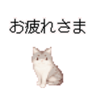 猫のピクセルアート(ドット絵)のスタンプ4（個別スタンプ：6）
