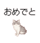 猫のピクセルアート(ドット絵)のスタンプ4（個別スタンプ：8）