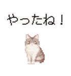 猫のピクセルアート(ドット絵)のスタンプ4（個別スタンプ：9）