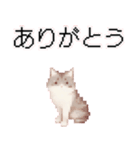 猫のピクセルアート(ドット絵)のスタンプ4（個別スタンプ：11）