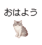 猫のピクセルアート(ドット絵)のスタンプ4（個別スタンプ：12）