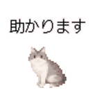 猫のピクセルアート(ドット絵)のスタンプ4（個別スタンプ：14）