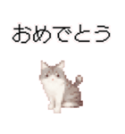 猫のピクセルアート(ドット絵)のスタンプ4（個別スタンプ：15）