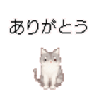 猫のピクセルアート(ドット絵)のスタンプ4（個別スタンプ：17）