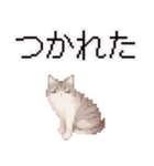 猫のピクセルアート(ドット絵)のスタンプ4（個別スタンプ：18）