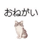 猫のピクセルアート(ドット絵)のスタンプ4（個別スタンプ：19）