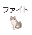 猫のピクセルアート(ドット絵)のスタンプ4（個別スタンプ：20）