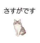 猫のピクセルアート(ドット絵)のスタンプ4（個別スタンプ：21）