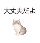 猫のピクセルアート(ドット絵)のスタンプ4（個別スタンプ：22）