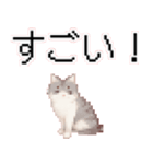 猫のピクセルアート(ドット絵)のスタンプ4（個別スタンプ：24）
