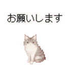 猫のピクセルアート(ドット絵)のスタンプ4（個別スタンプ：25）