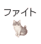 猫のピクセルアート(ドット絵)のスタンプ4（個別スタンプ：28）