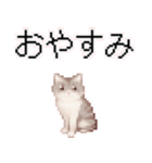 猫のピクセルアート(ドット絵)のスタンプ4（個別スタンプ：29）