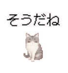 猫のピクセルアート(ドット絵)のスタンプ4（個別スタンプ：33）