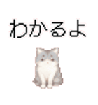 猫のピクセルアート(ドット絵)のスタンプ4（個別スタンプ：35）