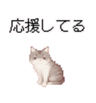 猫のピクセルアート(ドット絵)のスタンプ4（個別スタンプ：40）