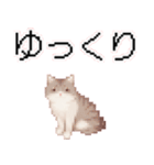 猫のピクセルアート(ドット絵)スタンプ 5（個別スタンプ：1）