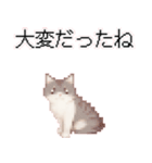 猫のピクセルアート(ドット絵)スタンプ 5（個別スタンプ：2）