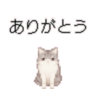 猫のピクセルアート(ドット絵)スタンプ 5（個別スタンプ：6）