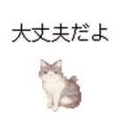 猫のピクセルアート(ドット絵)スタンプ 5（個別スタンプ：7）