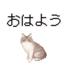 猫のピクセルアート(ドット絵)スタンプ 5（個別スタンプ：11）