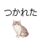 猫のピクセルアート(ドット絵)スタンプ 5（個別スタンプ：12）