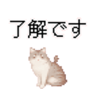 猫のピクセルアート(ドット絵)スタンプ 5（個別スタンプ：13）