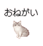 猫のピクセルアート(ドット絵)スタンプ 5（個別スタンプ：14）