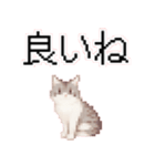 猫のピクセルアート(ドット絵)スタンプ 5（個別スタンプ：15）