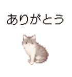 猫のピクセルアート(ドット絵)スタンプ 5（個別スタンプ：17）