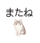 猫のピクセルアート(ドット絵)スタンプ 5（個別スタンプ：18）