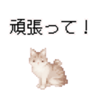 猫のピクセルアート(ドット絵)スタンプ 5（個別スタンプ：23）