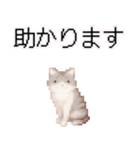 猫のピクセルアート(ドット絵)スタンプ 5（個別スタンプ：24）