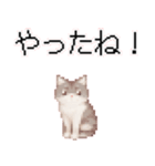 猫のピクセルアート(ドット絵)スタンプ 5（個別スタンプ：25）
