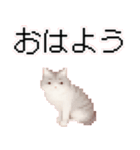 猫のピクセルアート(ドット絵)スタンプ 5（個別スタンプ：26）