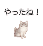 猫のピクセルアート(ドット絵)スタンプ 5（個別スタンプ：27）