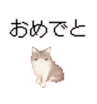 猫のピクセルアート(ドット絵)スタンプ 5（個別スタンプ：28）