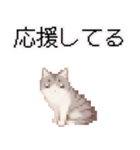 猫のピクセルアート(ドット絵)スタンプ 5（個別スタンプ：29）