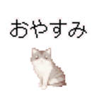 猫のピクセルアート(ドット絵)スタンプ 5（個別スタンプ：30）