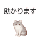 猫のピクセルアート(ドット絵)スタンプ 5（個別スタンプ：31）