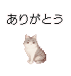 猫のピクセルアート(ドット絵)スタンプ 5（個別スタンプ：33）