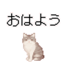 猫のピクセルアート(ドット絵)スタンプ 5（個別スタンプ：34）