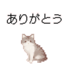 猫のピクセルアート(ドット絵)スタンプ 5（個別スタンプ：36）