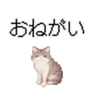 猫のピクセルアート(ドット絵)スタンプ 5（個別スタンプ：37）