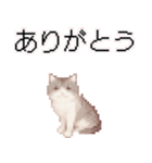猫のピクセルアート(ドット絵)スタンプ 5（個別スタンプ：39）