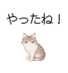 猫のピクセルアート(ドット絵)スタンプ 5（個別スタンプ：40）