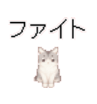 猫のピクセルアート(ドット絵)のスタンプ 2（個別スタンプ：1）