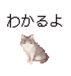 猫のピクセルアート(ドット絵)のスタンプ 2（個別スタンプ：2）