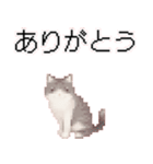 猫のピクセルアート(ドット絵)のスタンプ 2（個別スタンプ：4）